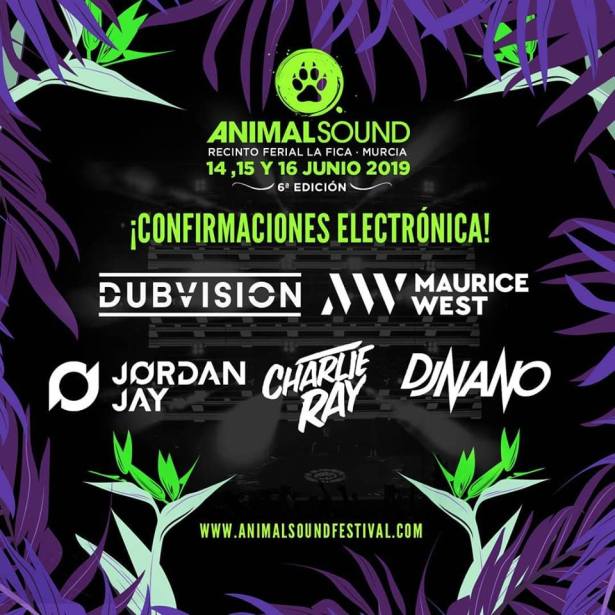 54525222_2311634775769124_5886911896518393856_n